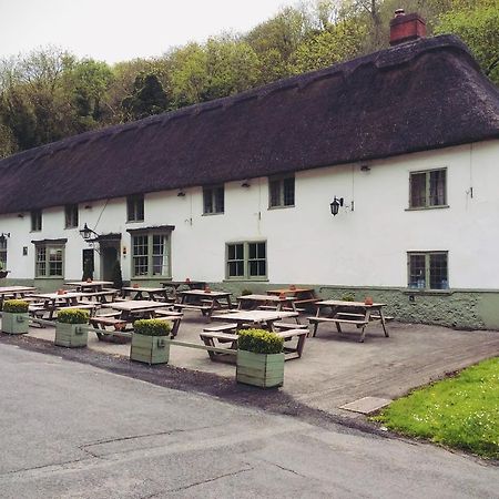 Отель Hambro Arms Milton Abbas Экстерьер фото
