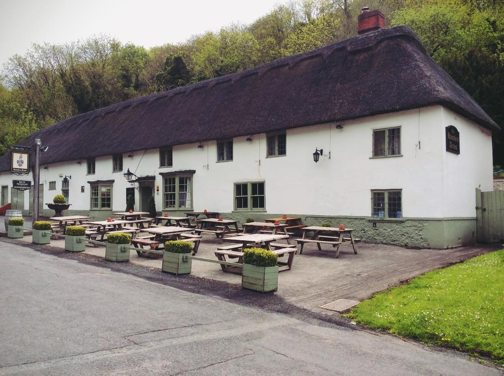 Отель Hambro Arms Milton Abbas Экстерьер фото
