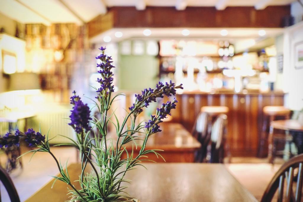 Отель Hambro Arms Milton Abbas Экстерьер фото
