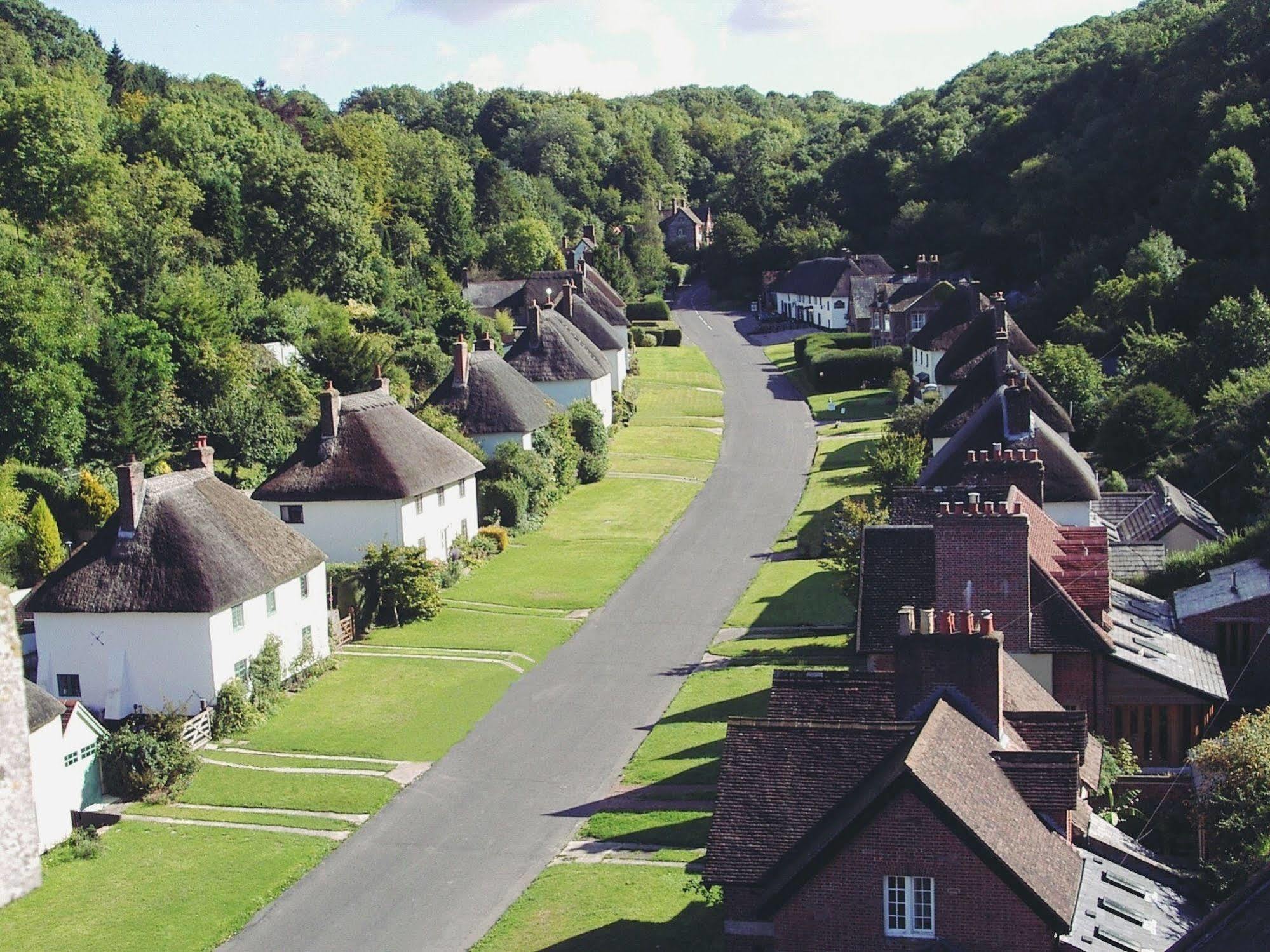 Отель Hambro Arms Milton Abbas Экстерьер фото