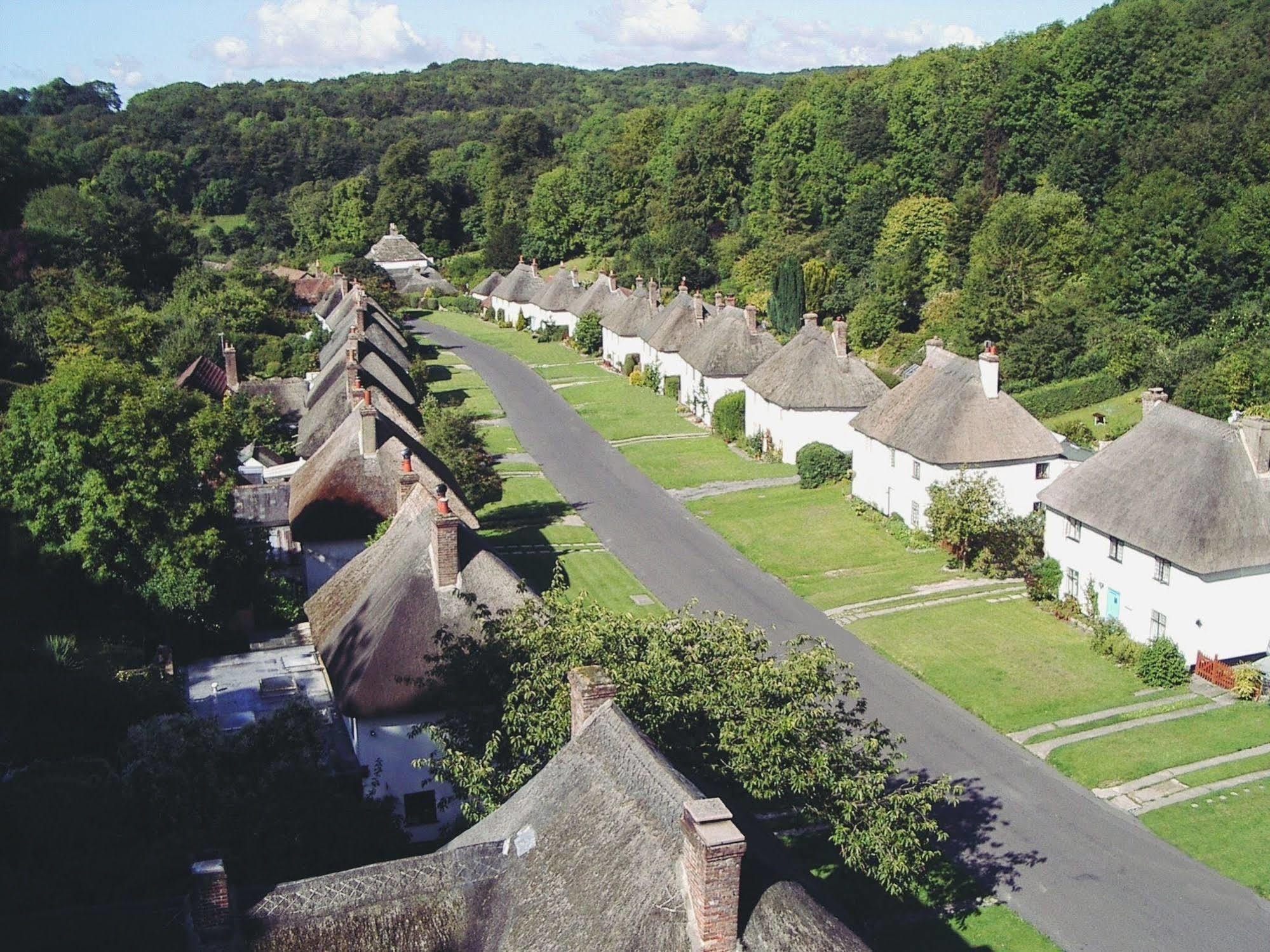Отель Hambro Arms Milton Abbas Экстерьер фото